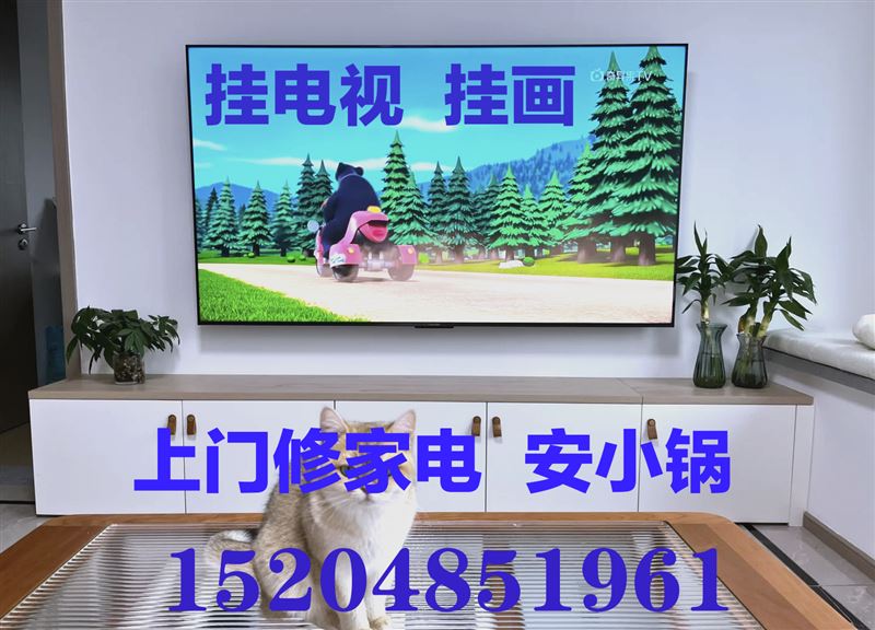 安装电视，挂电视，安装热水器，安装户户通小锅，家电上门维修15204851961