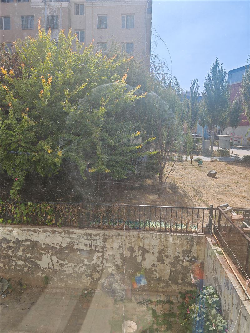 翠堤东郡一楼半地下出售