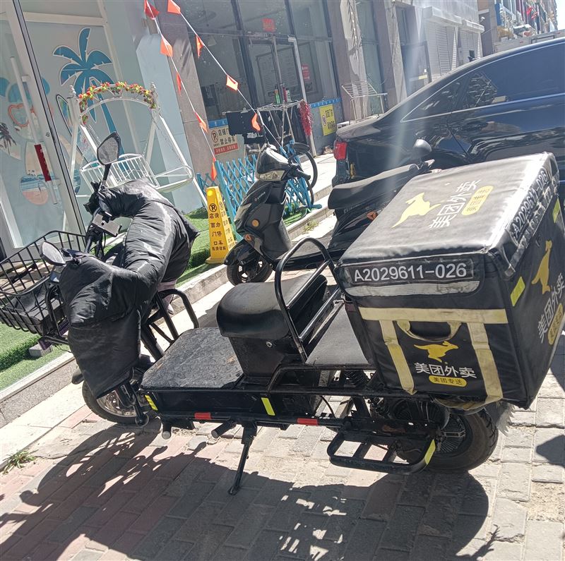 出售大板电动车（无电瓶），安上电瓶就走，嘎嘎好使15204851961