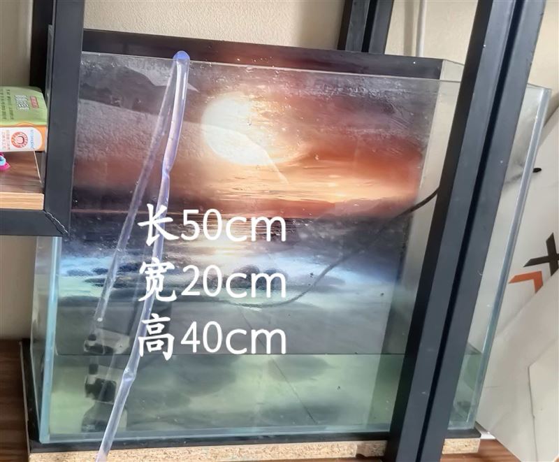 鱼缸出售